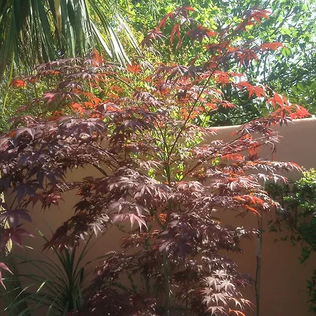Aotearoa Guest house Premantura